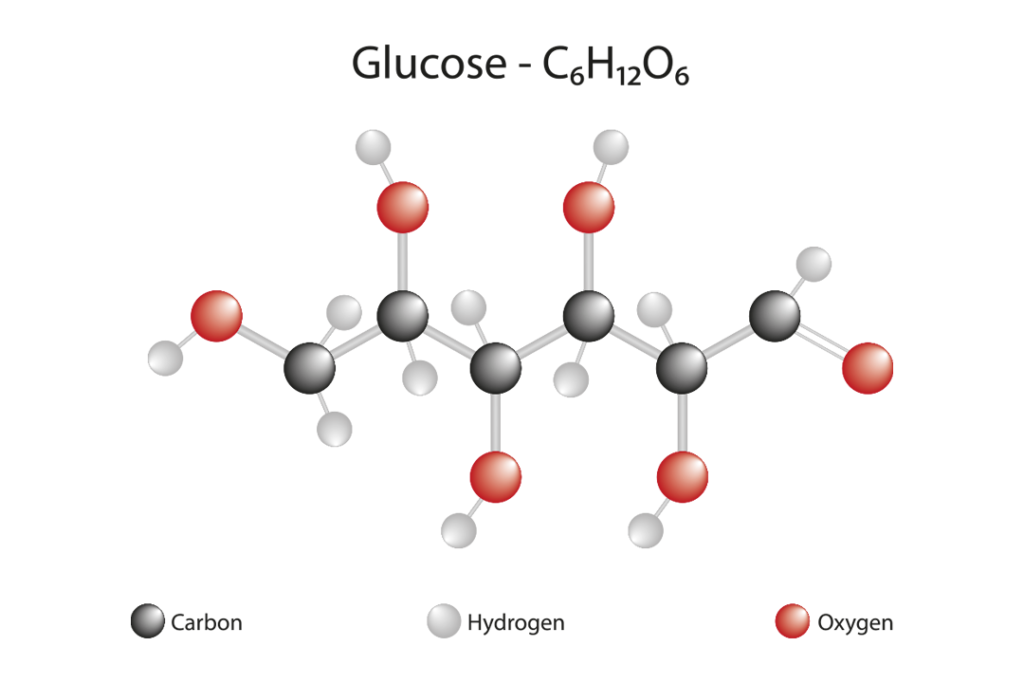 Glukoza, czyli cukier gronowy – zastosowanie i charakterystyka