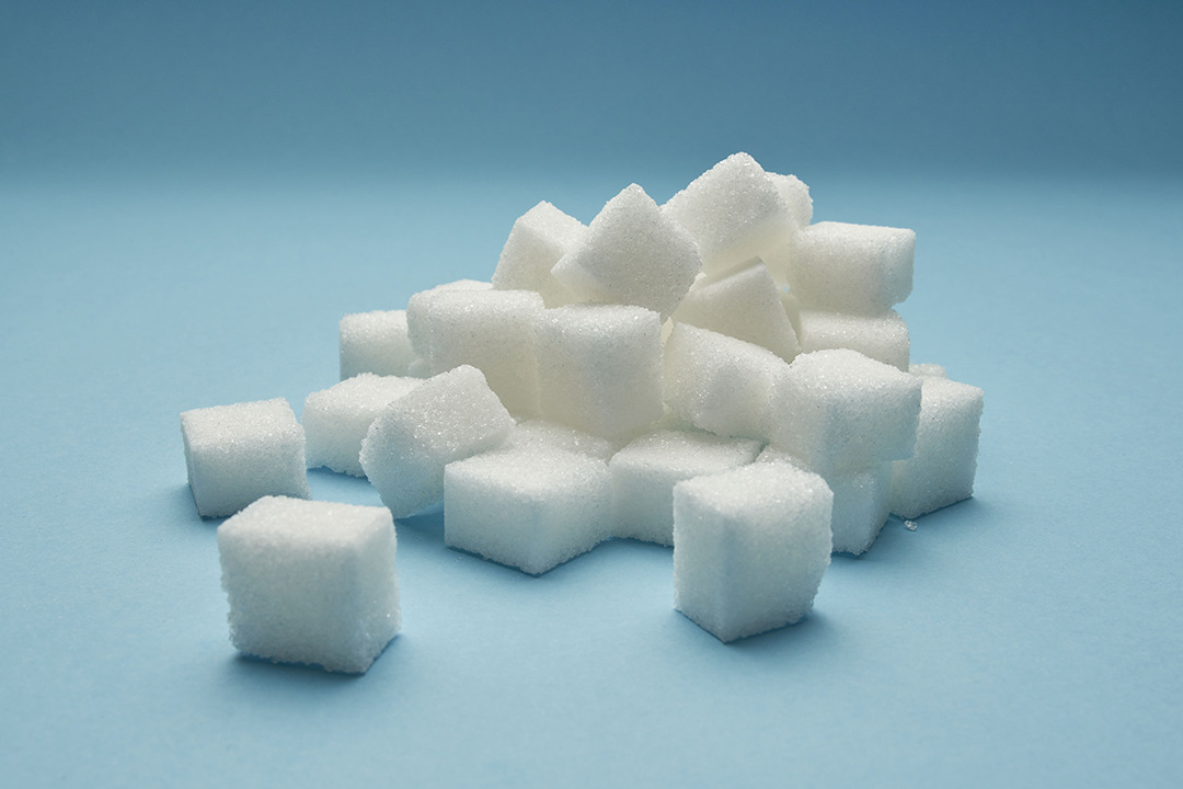 Jak zrobić cukier w kostkach w domu?