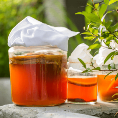 Kombucha - jak zrobić w domu napój z grzyba herbacianego? 3 niezawodne przepisy