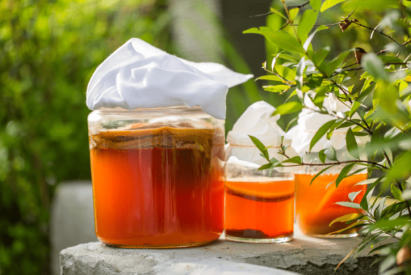 Kombucha - jak zrobić w domu napój z grzyba herbacianego? 3 niezawodne przepisy